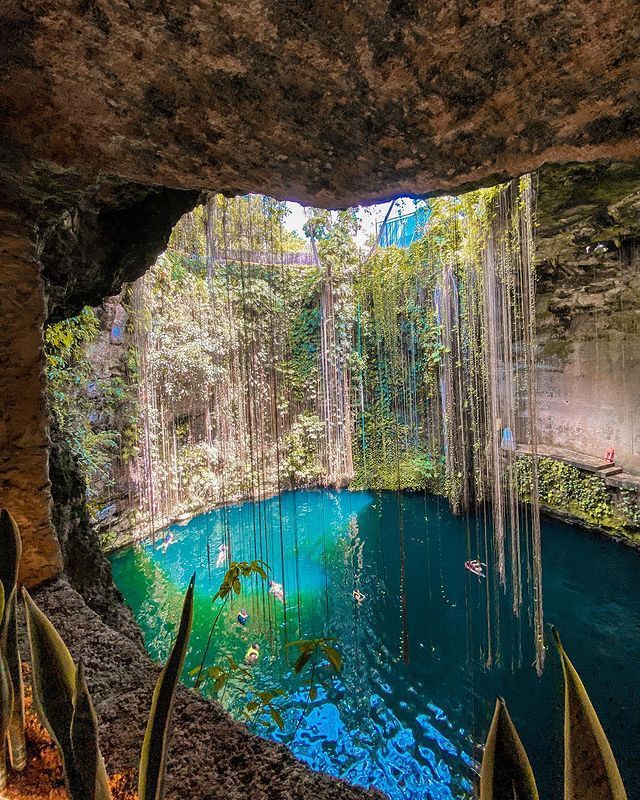 La abertura del Cenote Ik Kil vista desde abajo