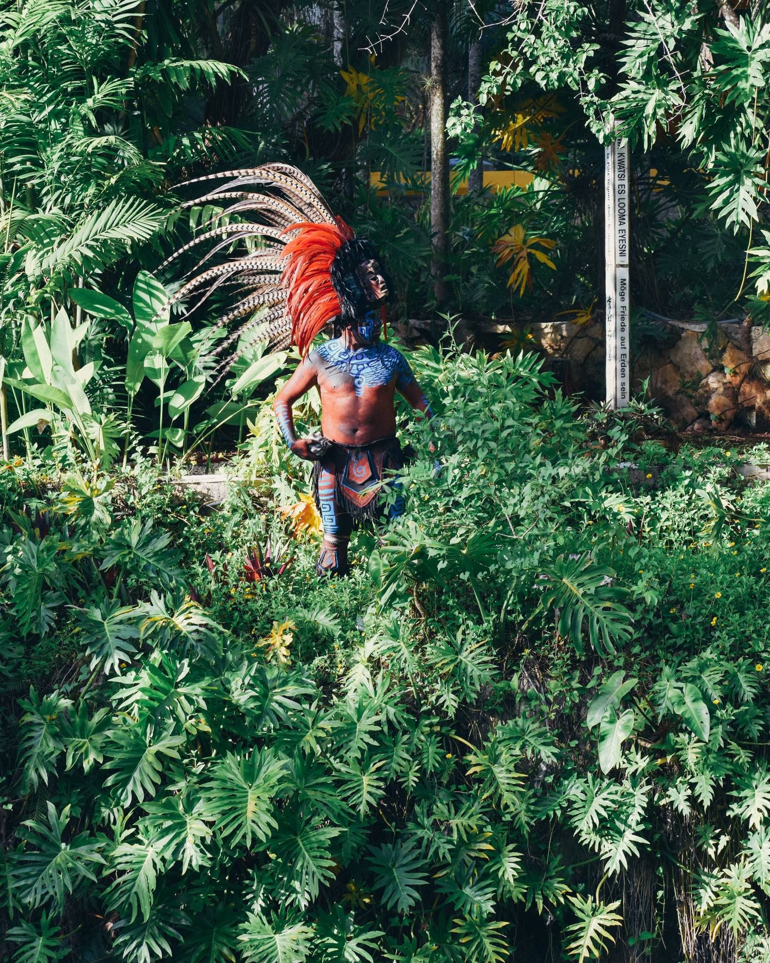 Persona con atuendo maya tradicional entre la vegetación