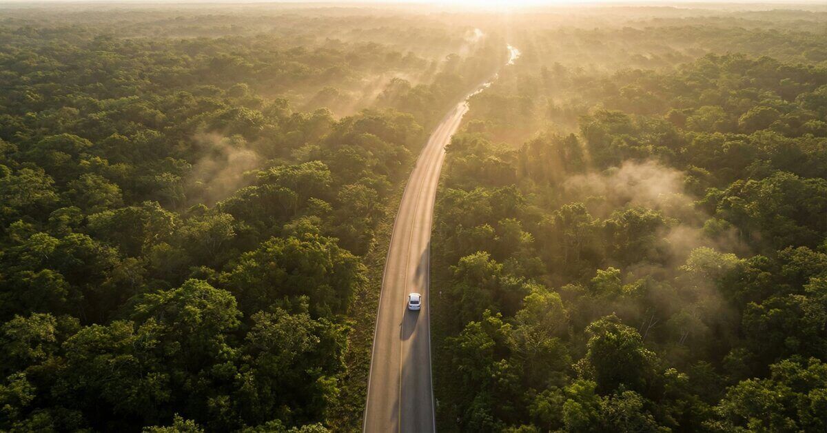 Carretera recta entre la selva de Yucatán vista desde el aire