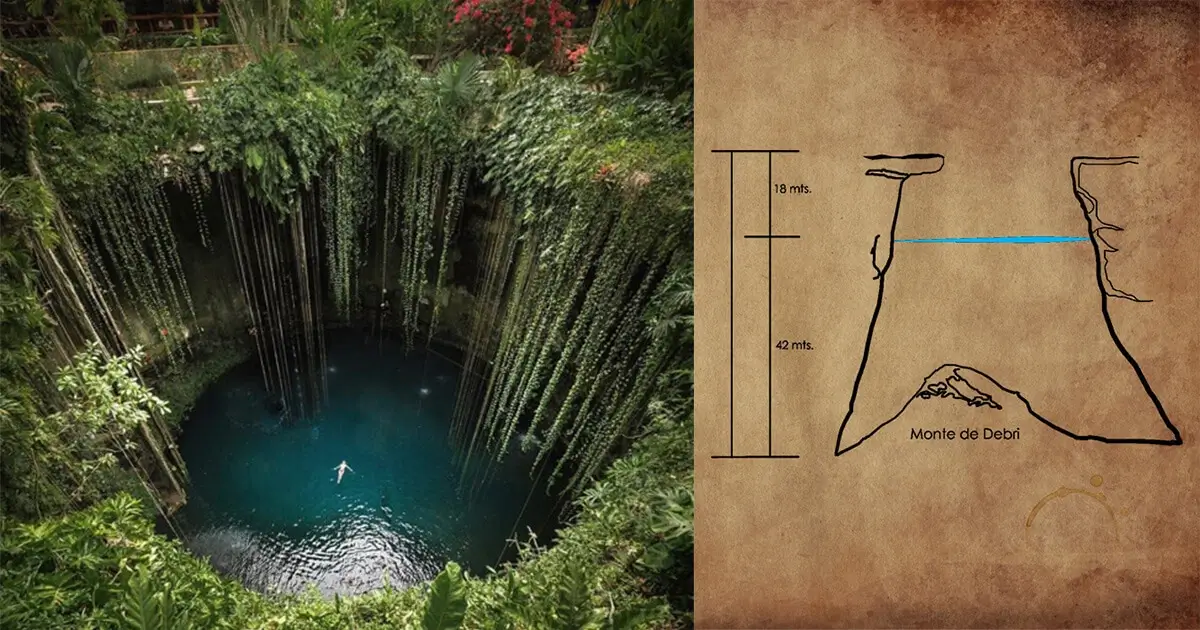 Interior of the cenote with vines cascading down